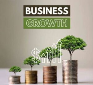 seo success to grow business
